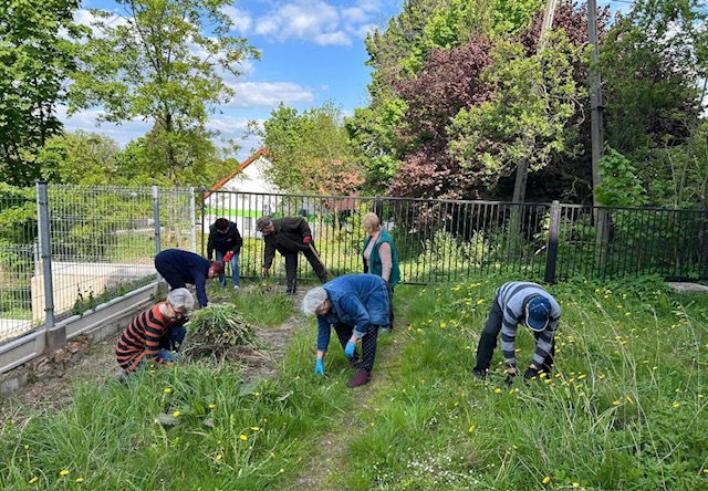 Prace porządkowe w ogródku Klubu Seniora