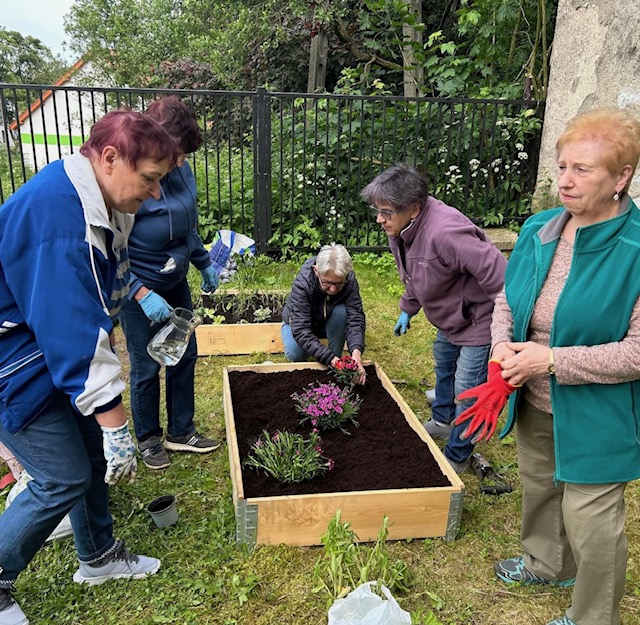 prace ogródkowe sadzenie kwiatów