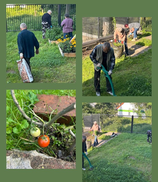 Prace porządkowe w ogródku klubu senior